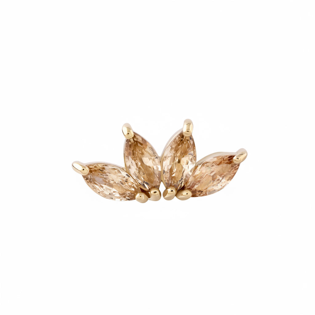 4 Marquise Fan • Reconfigured
